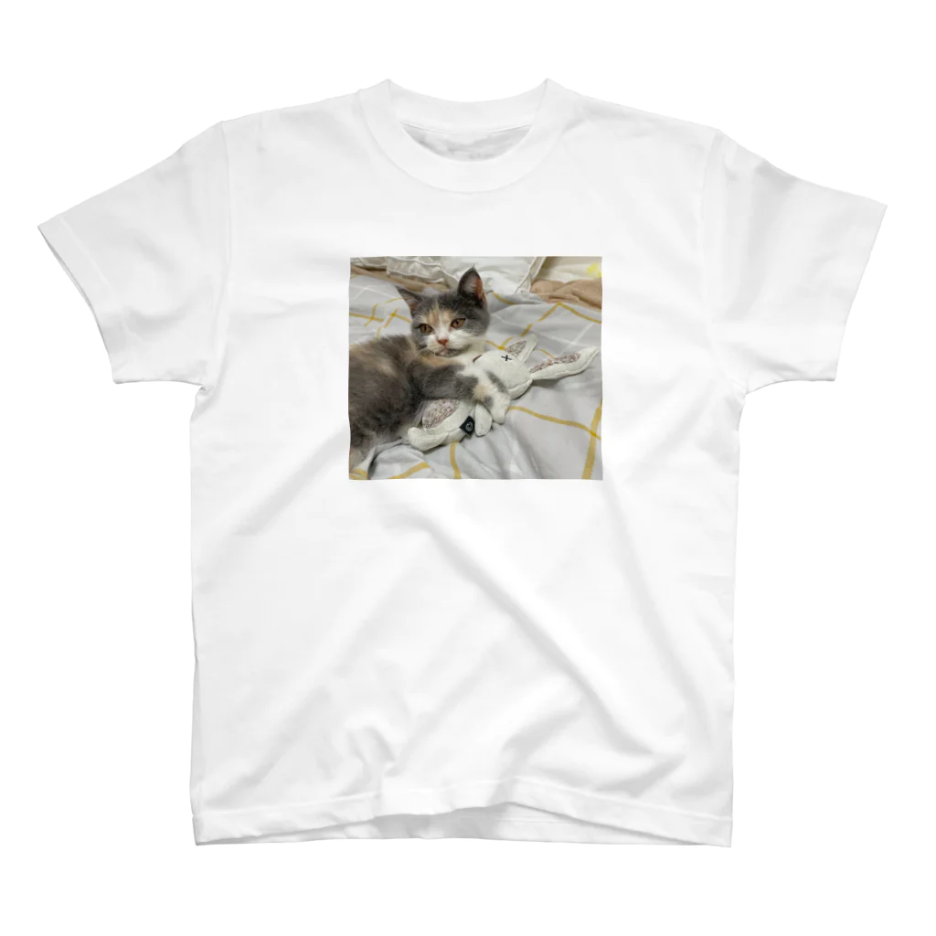 ねこのジゼルのうさぎを抱く スタンダードTシャツ