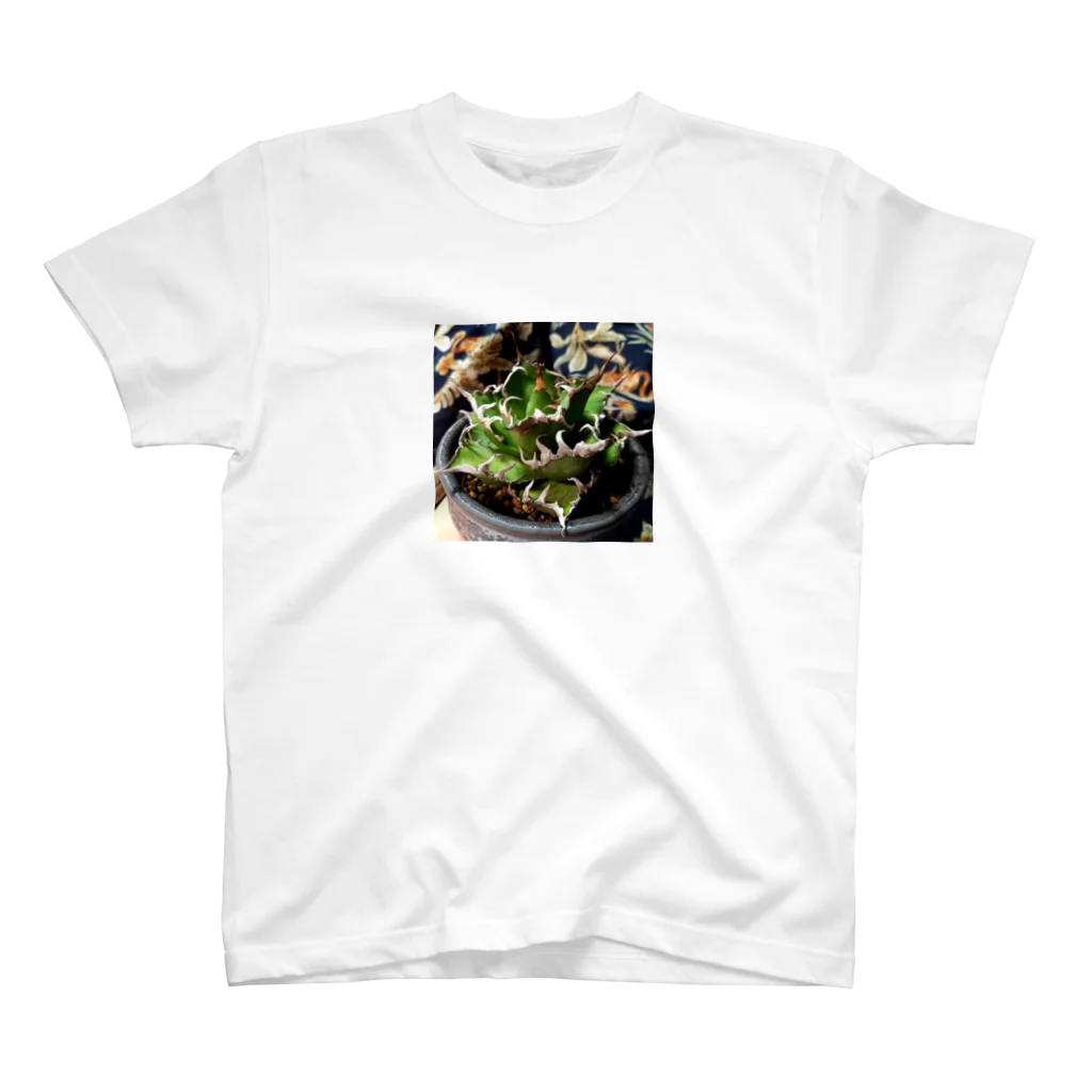 ぬこのぬこの俺のAgave Regular Fit T-Shirt