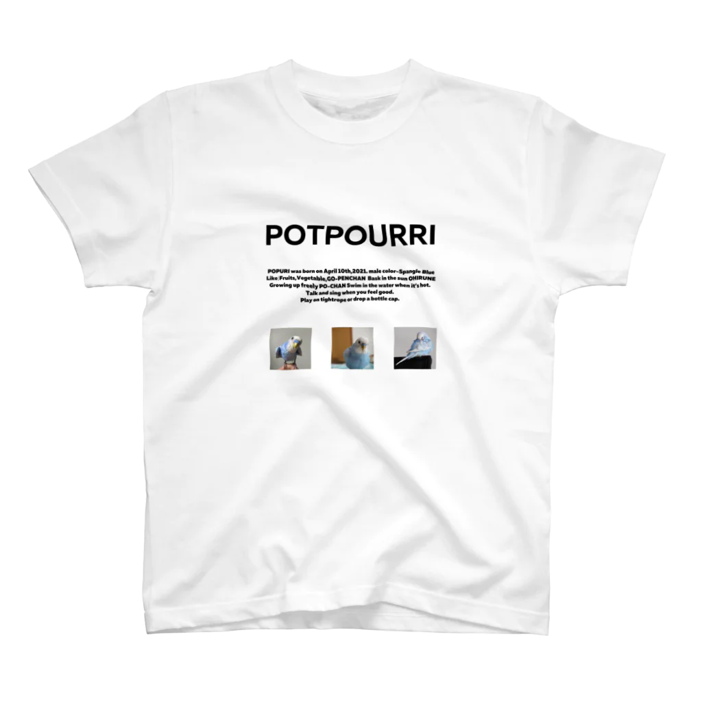 popopo_popopoのぽ Regular Fit T-Shirt