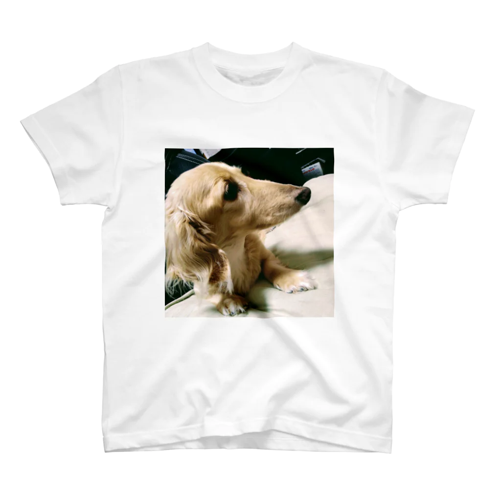 A2機関の一般的な愛犬 Regular Fit T-Shirt