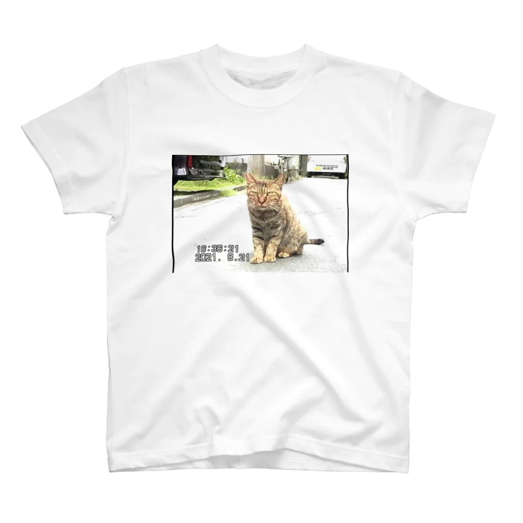 ディスク百合おんのminiDVテープ「座る猫」 スタンダードTシャツ