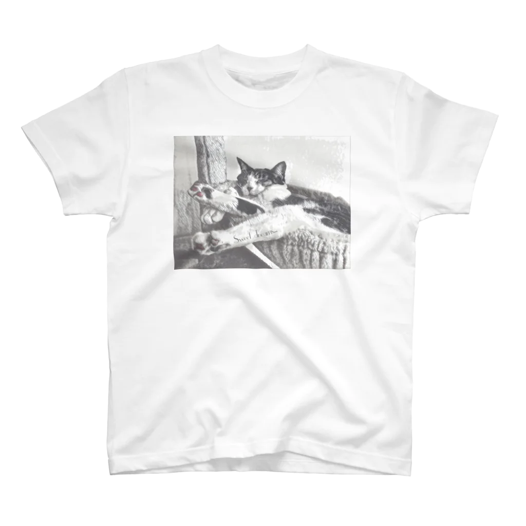 保護猫VELCAT馬車道店のおやすみしょうへい スタンダードTシャツ
