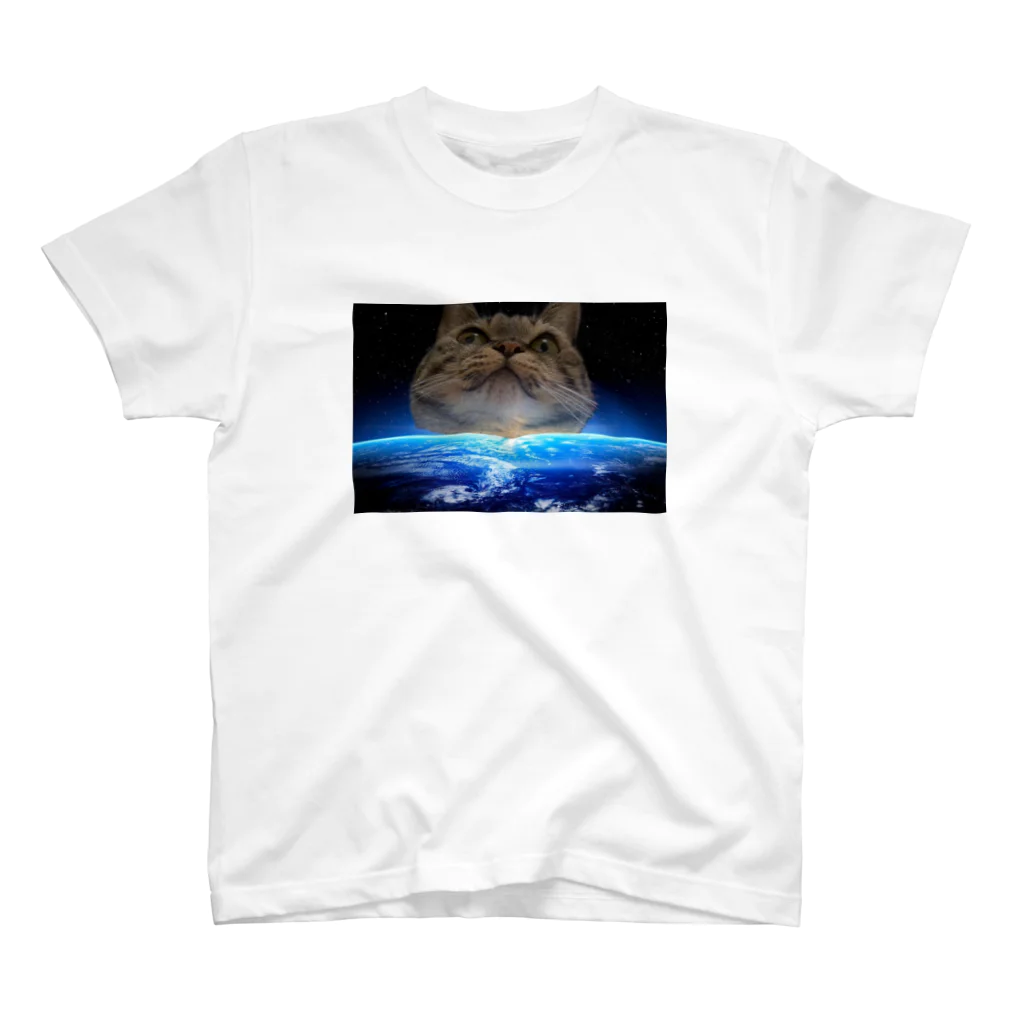 キジトラのななしのuniverse cat 774 Regular Fit T-Shirt