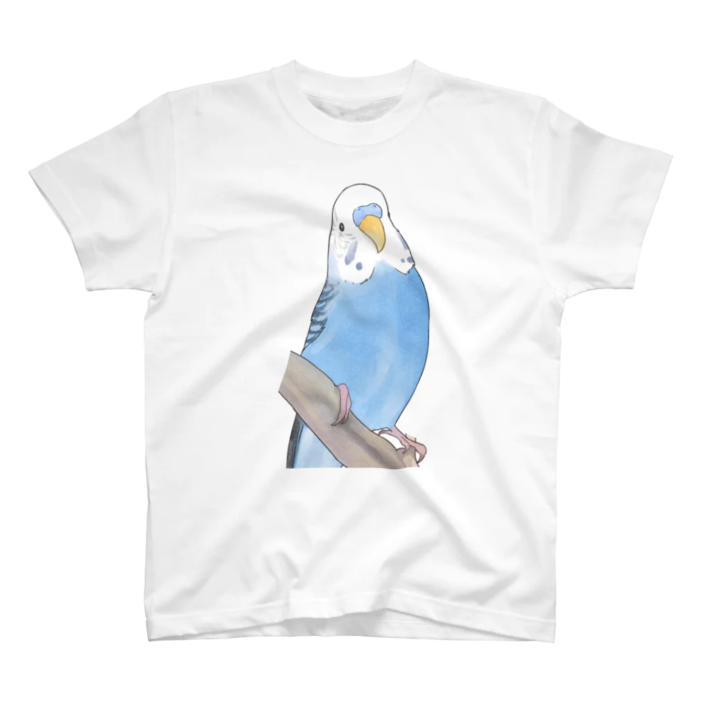 まめるりはことりのセキセイインコちゃんと止まり木【まめるりはことり】 スタンダードTシャツ