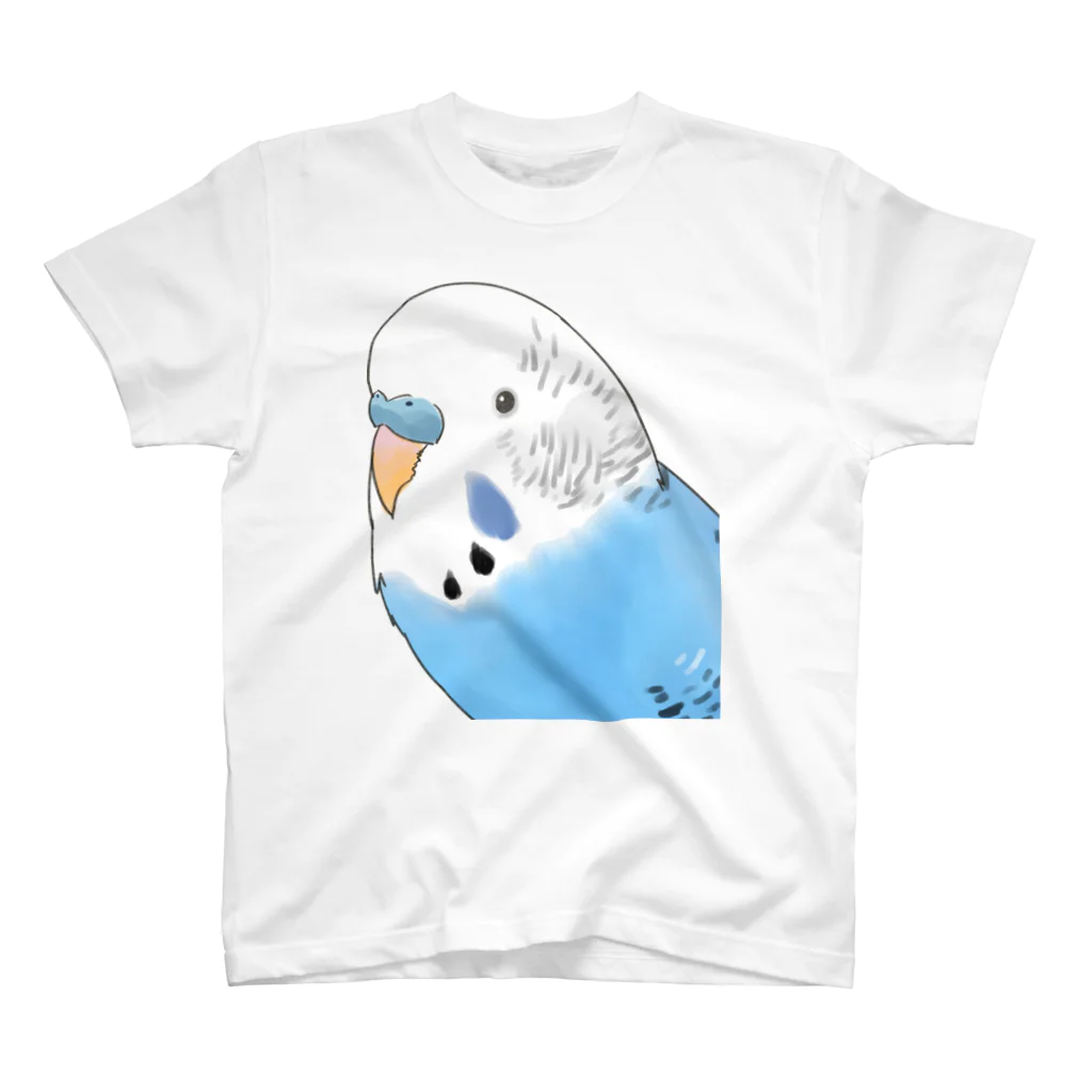 まめるりはことりの見つめるセキセイインコちゃん【まめるりはことり】 スタンダードTシャツ