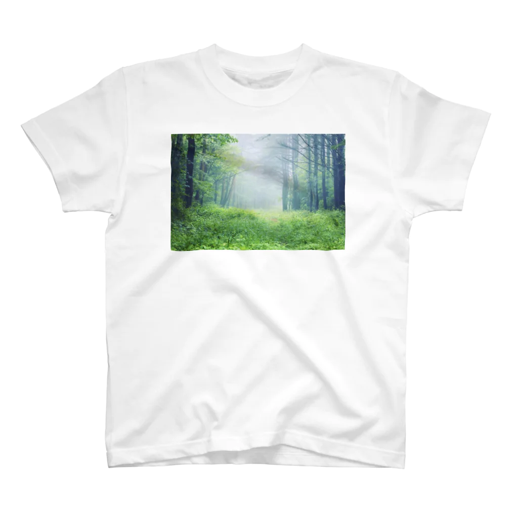 nonbirieartのRIE  CAMERA スタンダードTシャツ