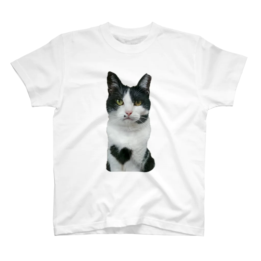 胸毛ハート猫の正面からの胸毛ハートなさしみ Regular Fit T-Shirt