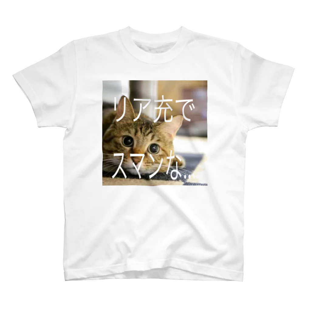 satake☆キジ猫のリア充な猫 動物 スタンダードTシャツ