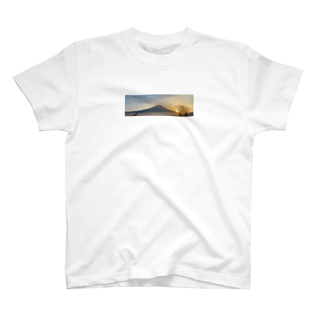 自然の絶景の絶景　富士山 スタンダードTシャツ