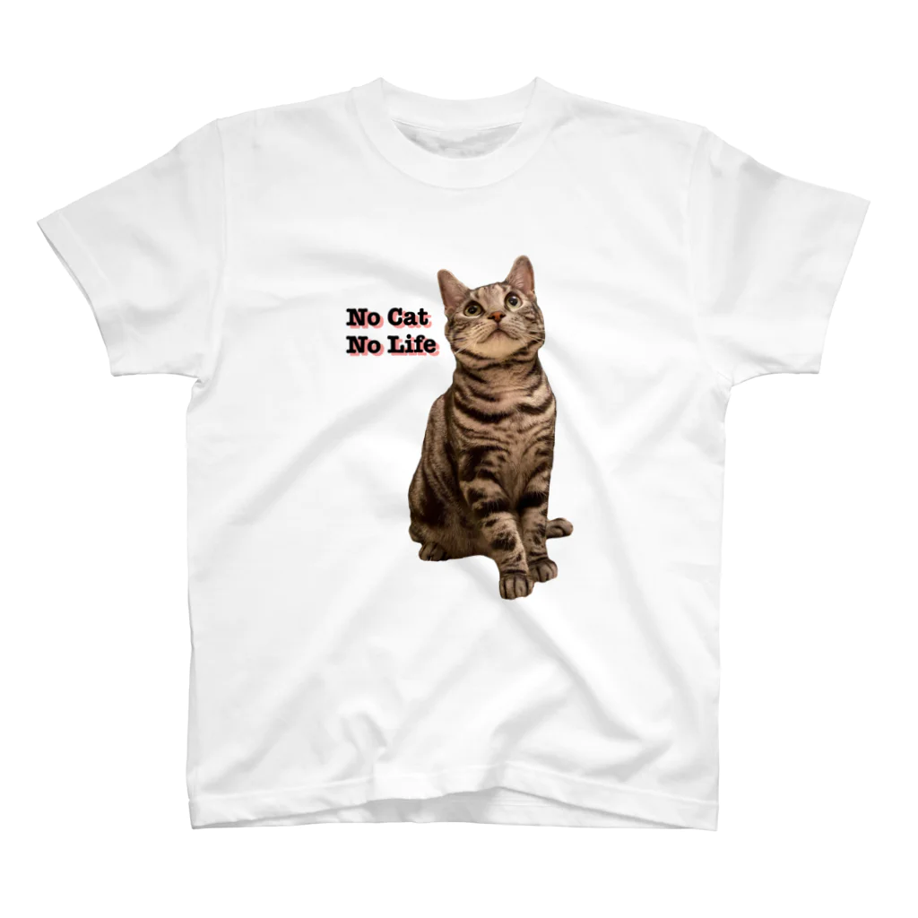 American Shorthair’s shopのあめしょのやつ1 スタンダードTシャツ