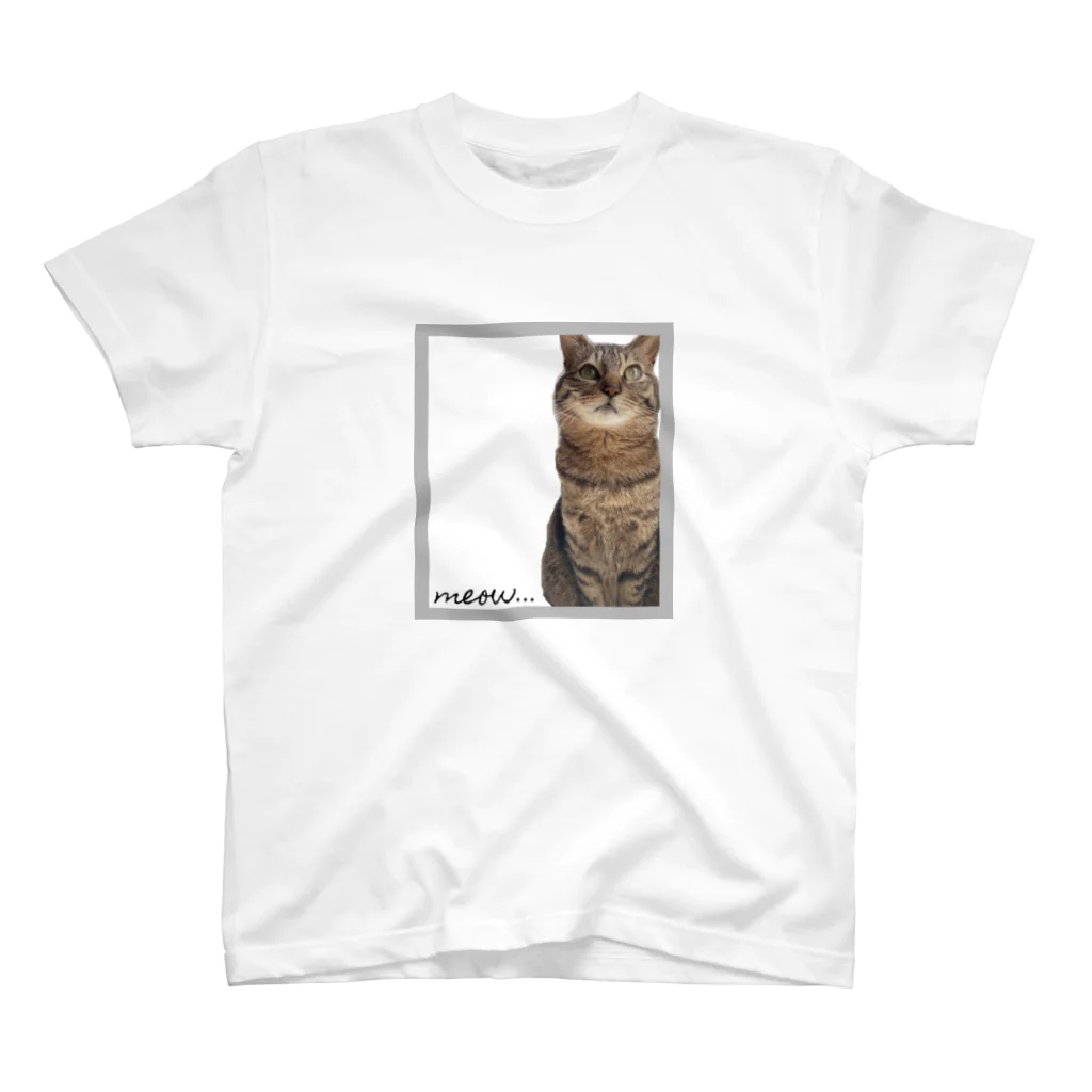 meow.の猫のちぃちゃん。(おすましver.) スタンダードTシャツ