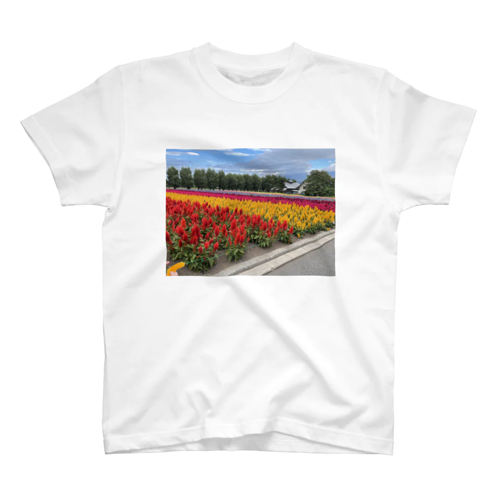 つかたんの花畑 Regular Fit T-Shirt