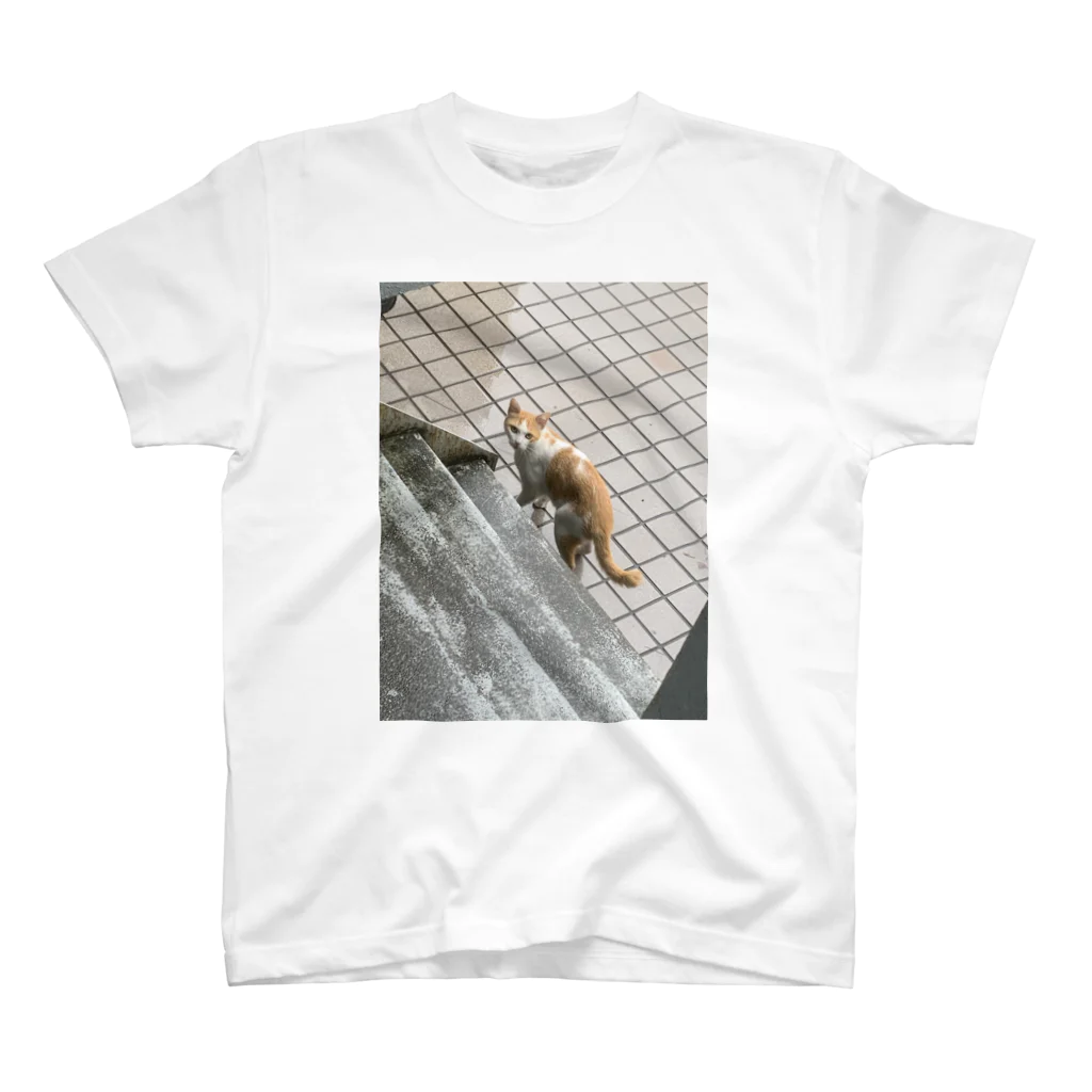 charlie_dogの玄関先の知らん猫 Regular Fit T-Shirt