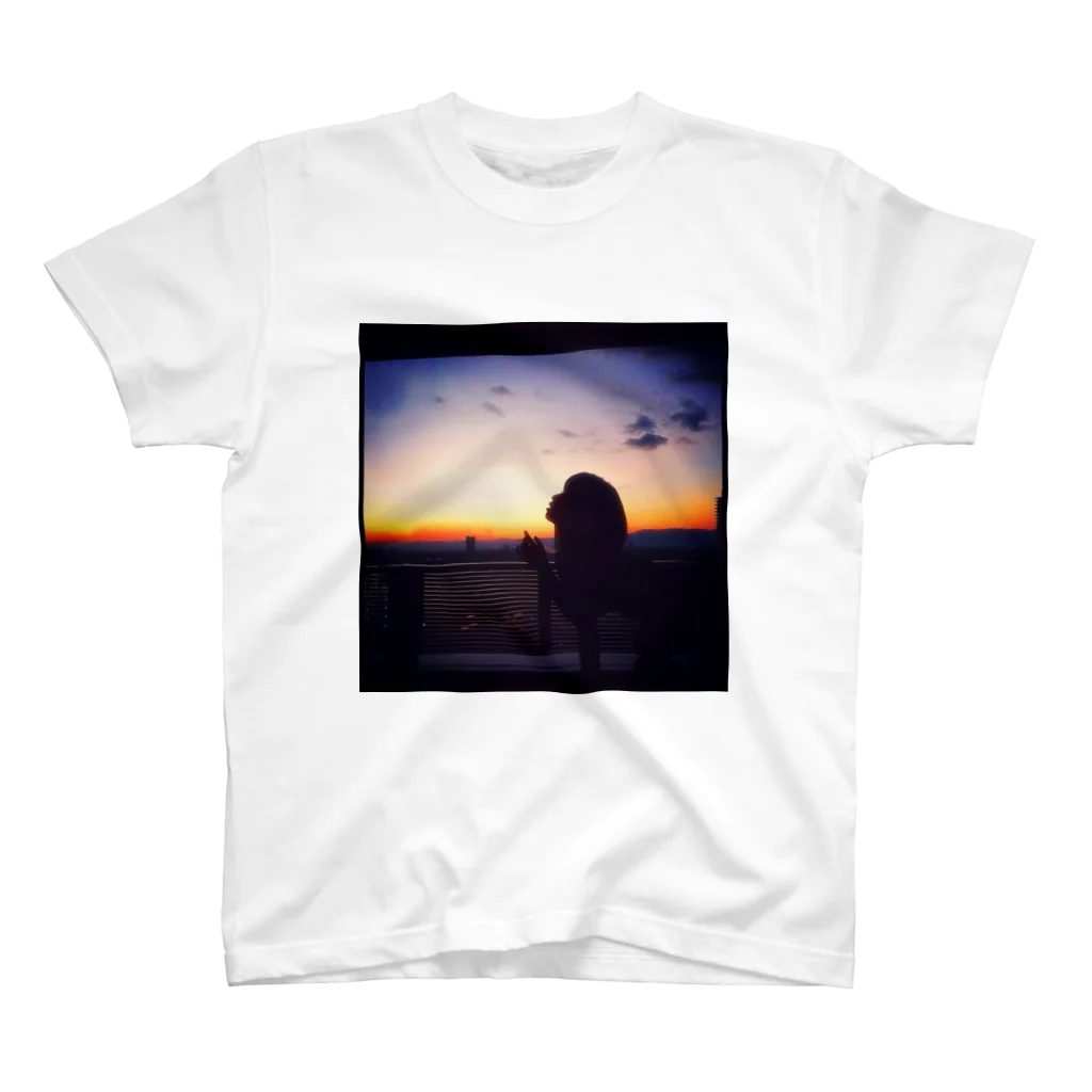 癒しショップの夕陽 Regular Fit T-Shirt