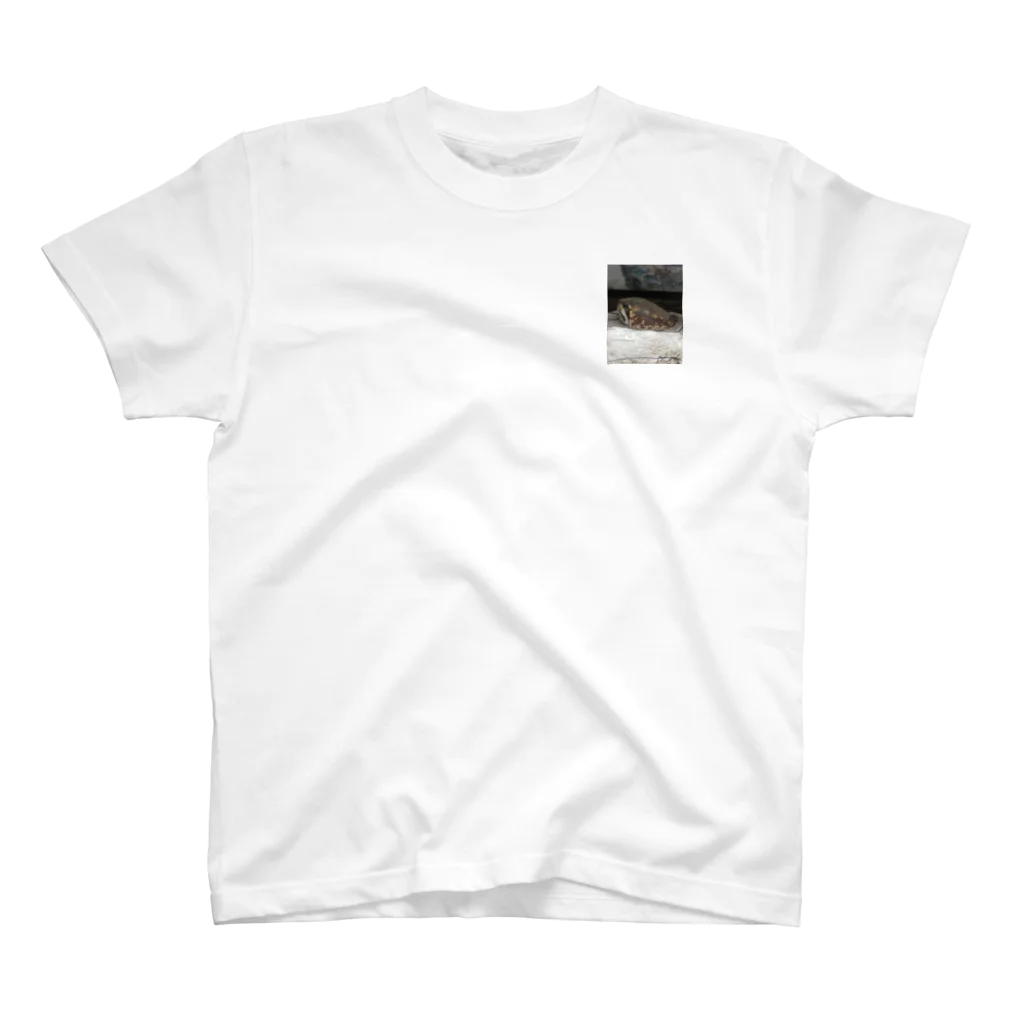 marron storeのあめふくらがえるのマロンです🌰 Regular Fit T-Shirt