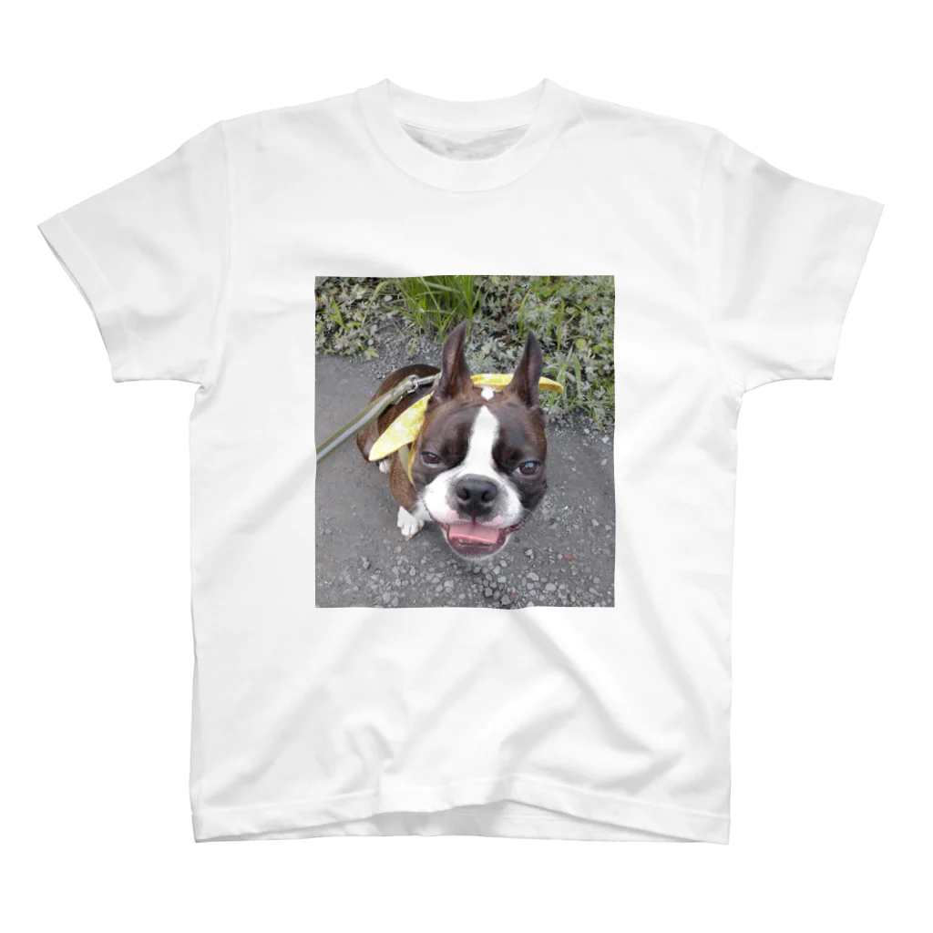 Laikathebostonterrierのおさんぽライカ2 Regular Fit T-Shirt