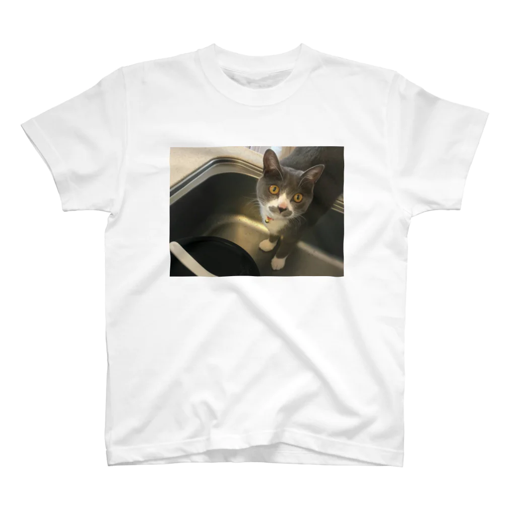 おおしま あかりのねこ スタンダードTシャツ