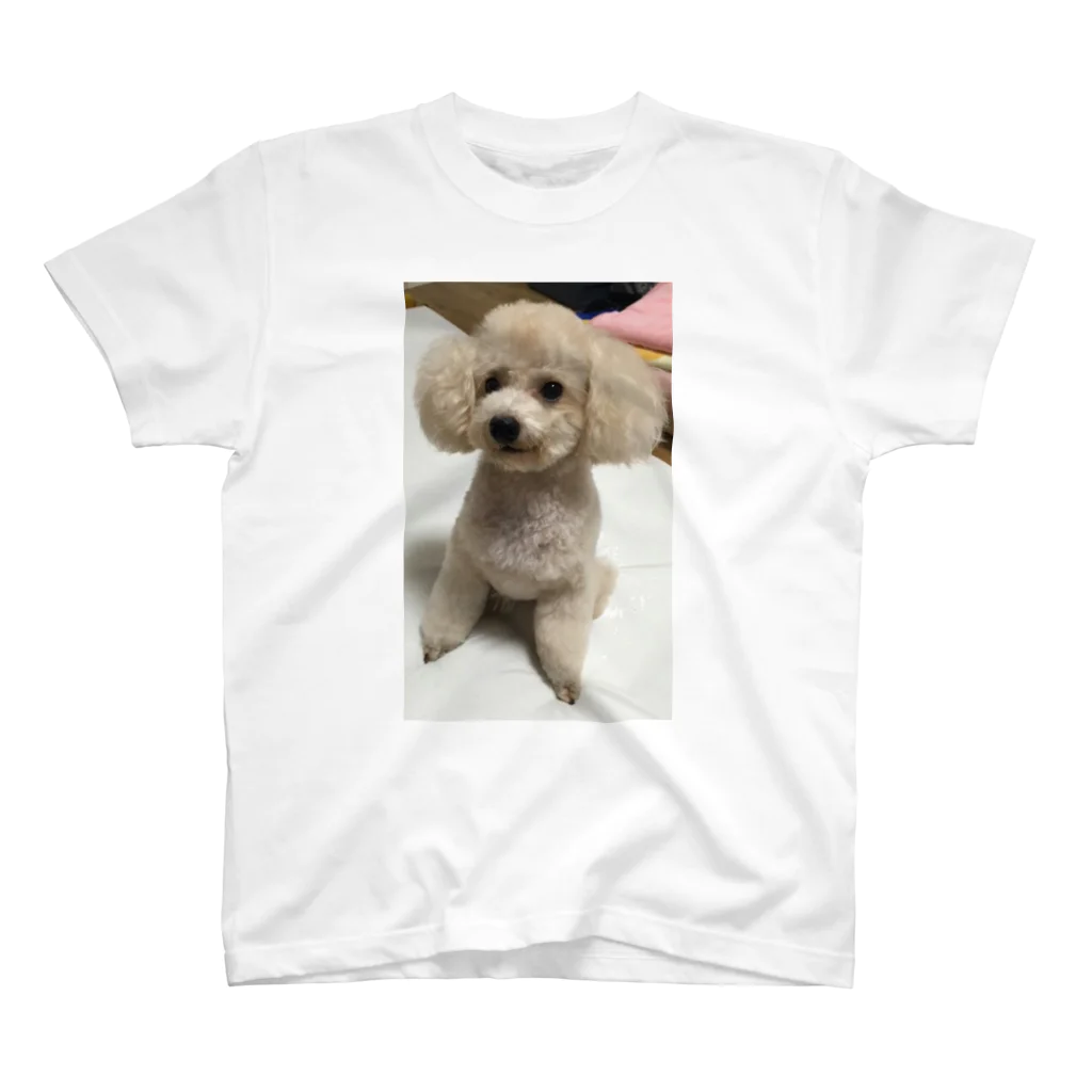 NogizakaのDog プードル スタンダードTシャツ