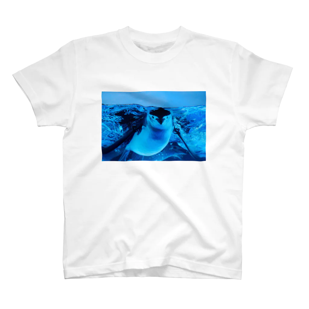 ペンギンの写真のヒゲペンギン　写真　リアル Regular Fit T-Shirt