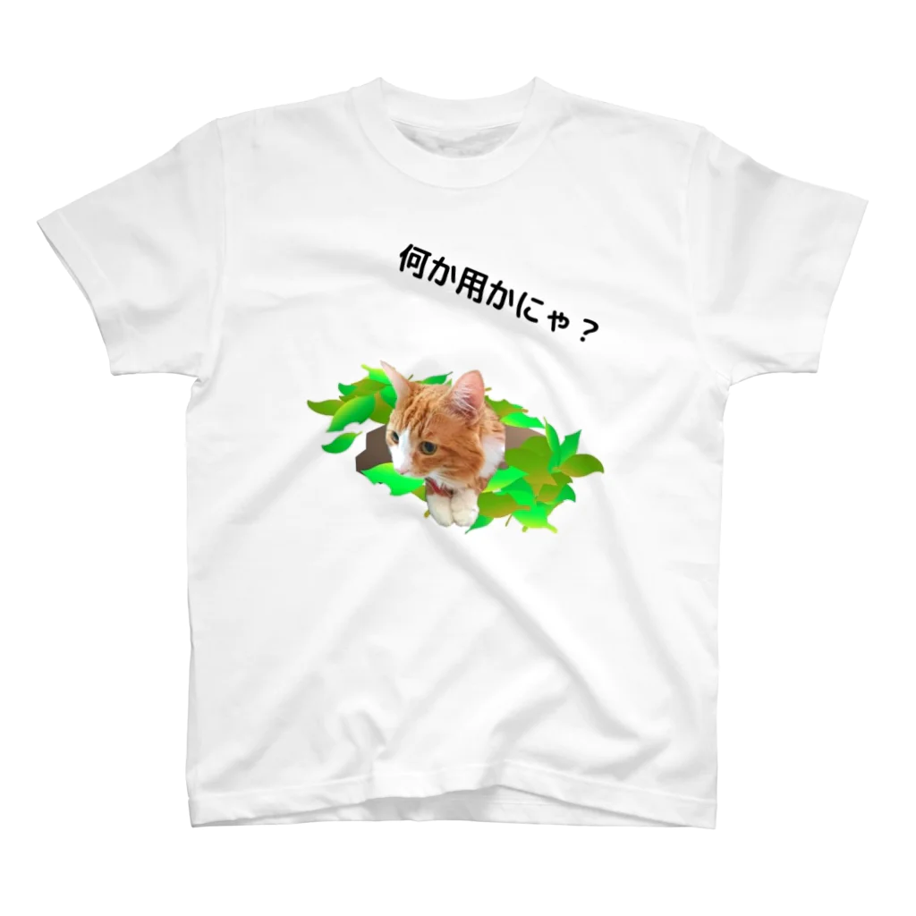 Akari's Shopのオス猫みーちゃんの日常１ スタンダードTシャツ