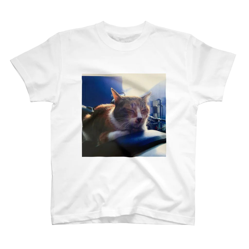 電気羊研究所science&GAMEのうとうと猫 スタンダードTシャツ