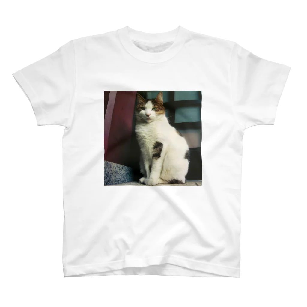 電気羊研究所science&GAMEのチラッと猫 Regular Fit T-Shirt