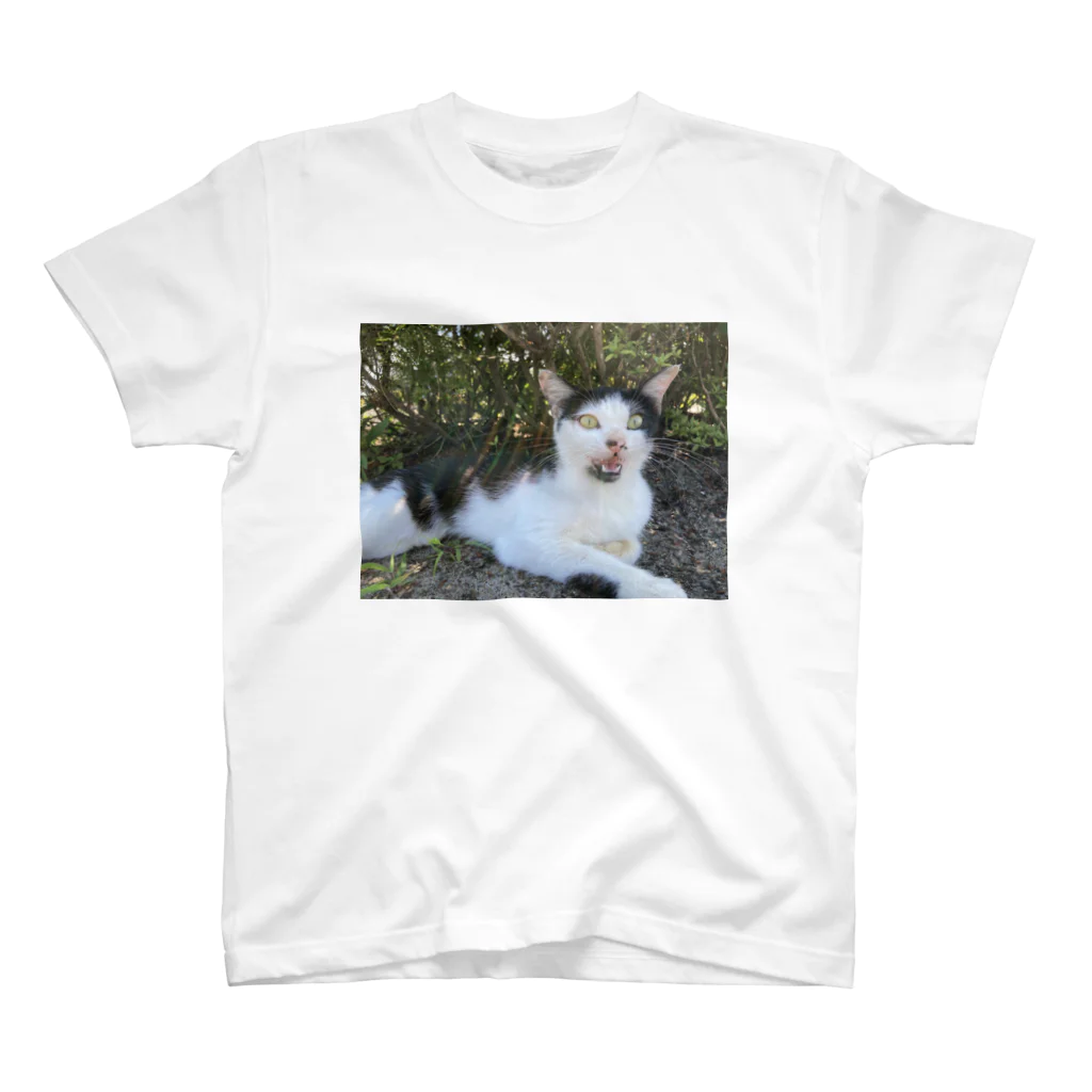 jlkのかいねこ Regular Fit T-Shirt