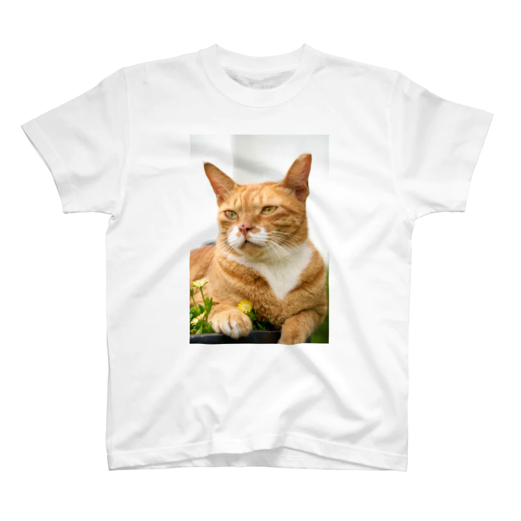 猫写真家「むに」のアトリエの猫と花 スタンダードTシャツ