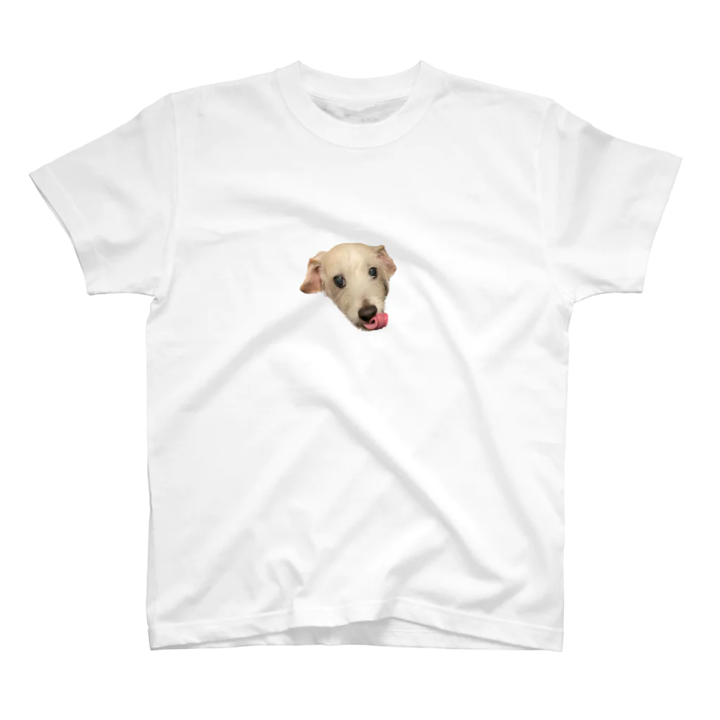 chamcham_kymの犬５ Regular Fit T-Shirt