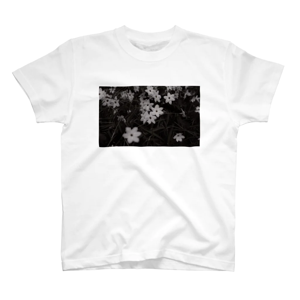 BandoneonのIpheion ( rusted ) スタンダードTシャツ