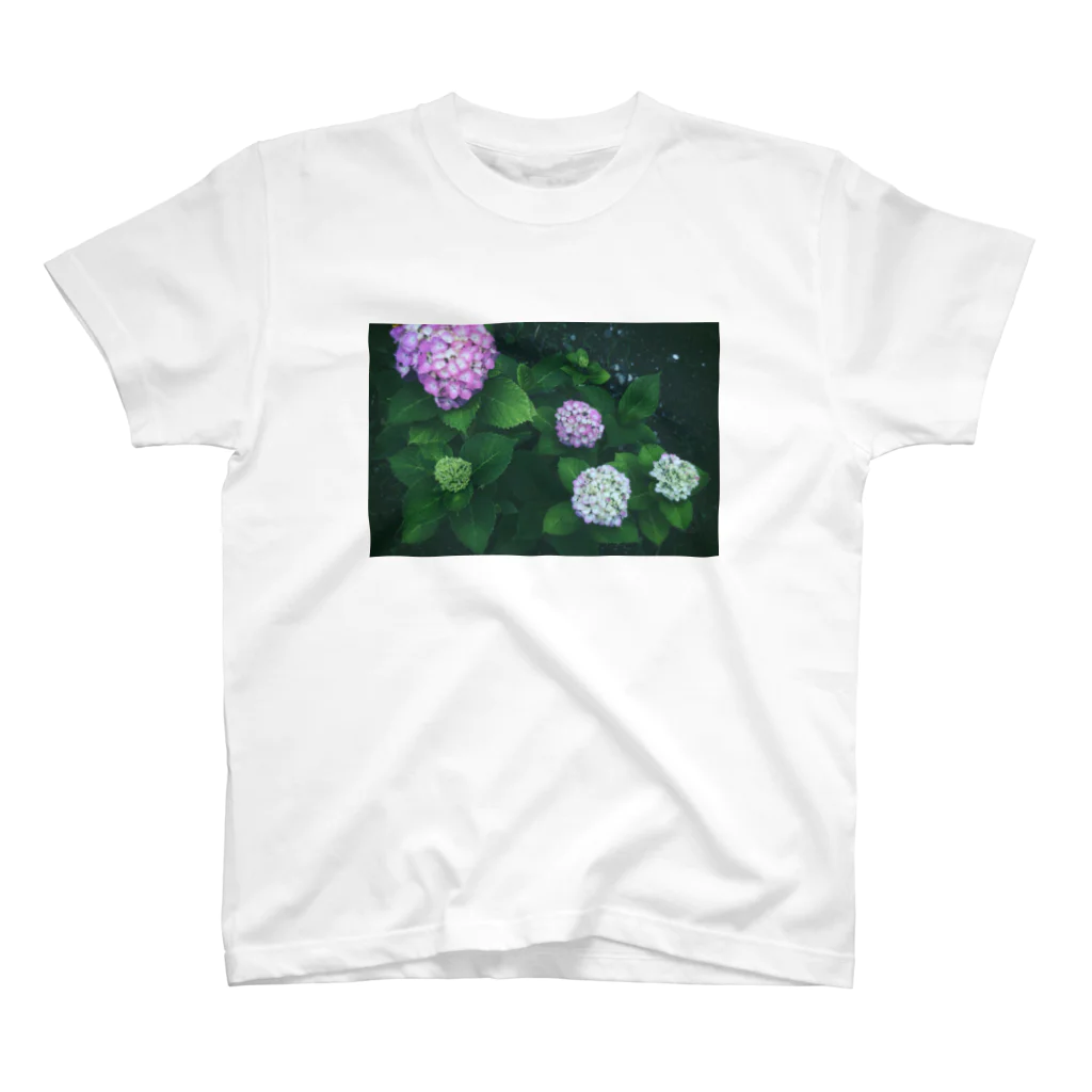 エリザベスゴリラの紫陽花だよ スタンダードTシャツ