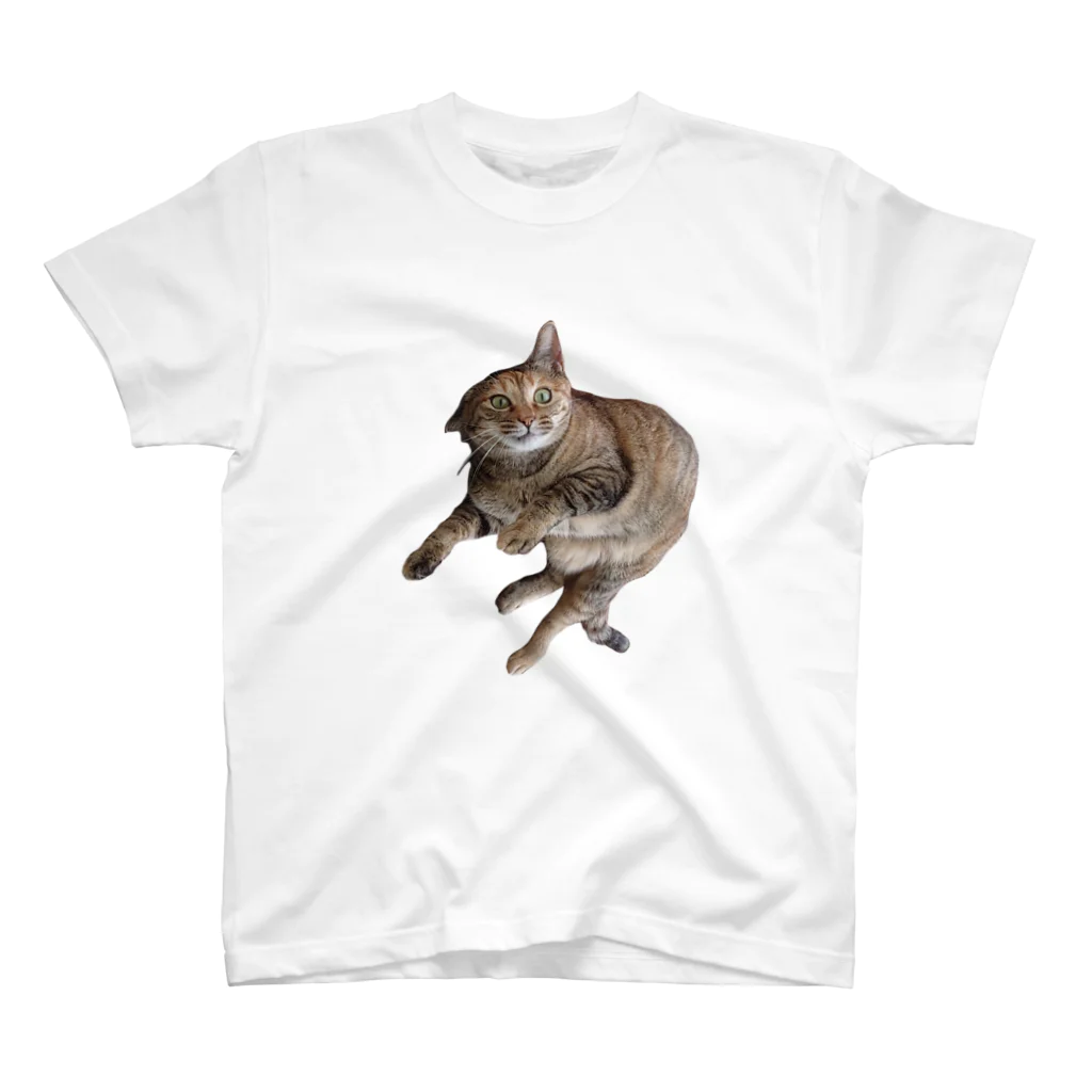 猫雑貨さんちこのﾌﾟﾘﾘﾘﾘﾘﾘﾘﾘﾘ スタンダードTシャツ