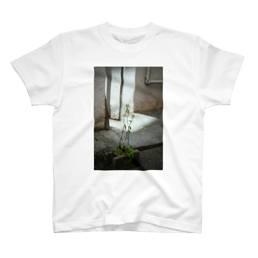 写真プリントのクサっても草 スタンダードTシャツ