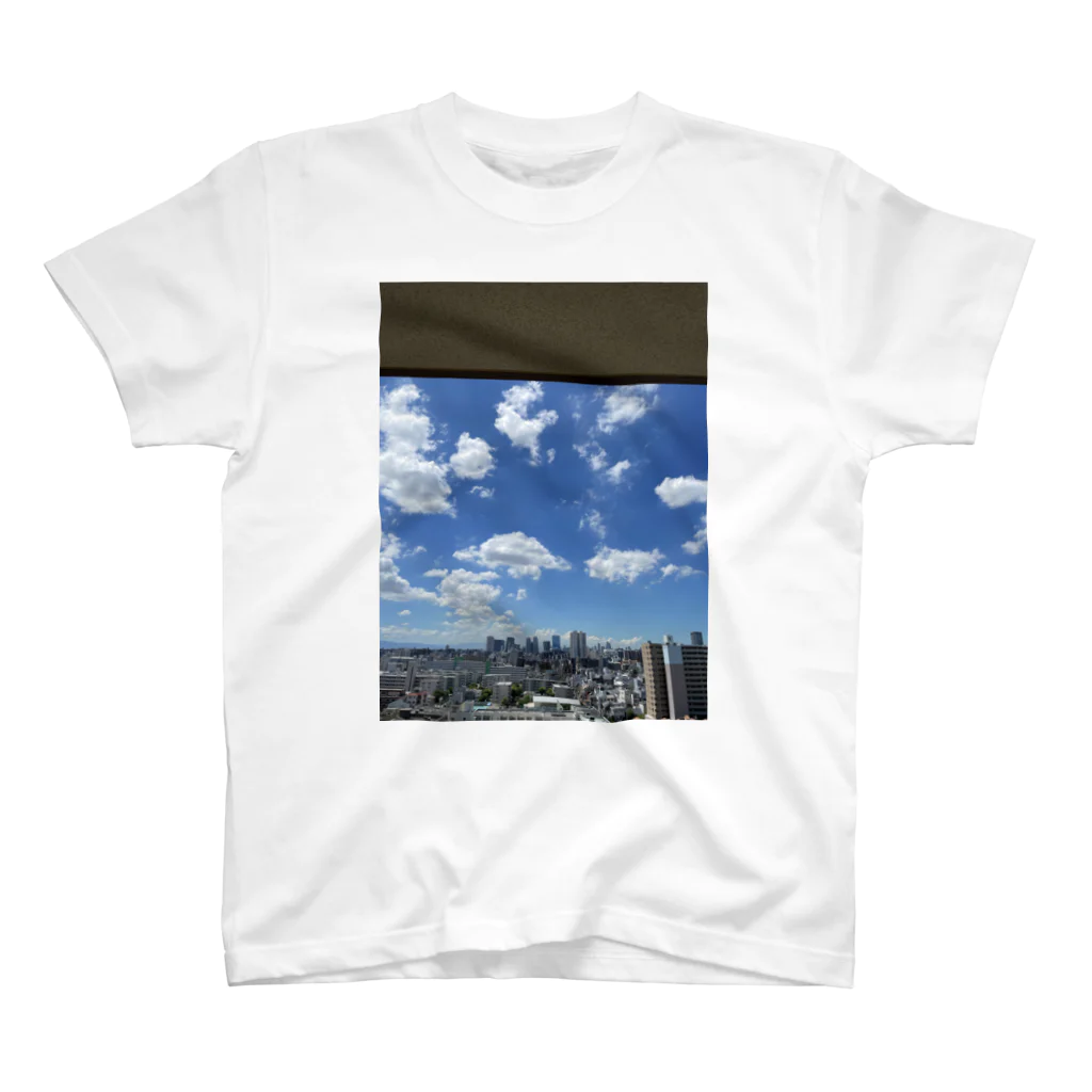 はるの背景 スタンダードTシャツ