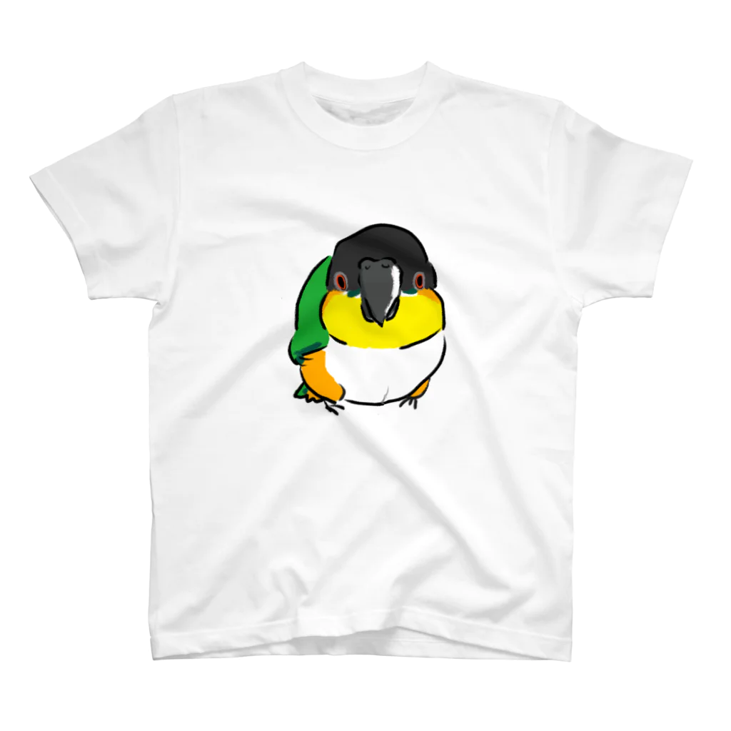 inkono shimobeのまんまるズグロシロハラインコ スタンダードTシャツ