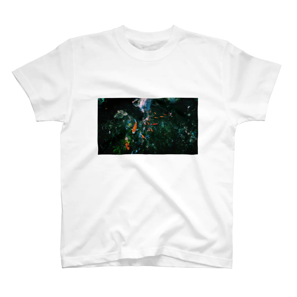 petit-chocolat🍫の夏の池 Regular Fit T-Shirt