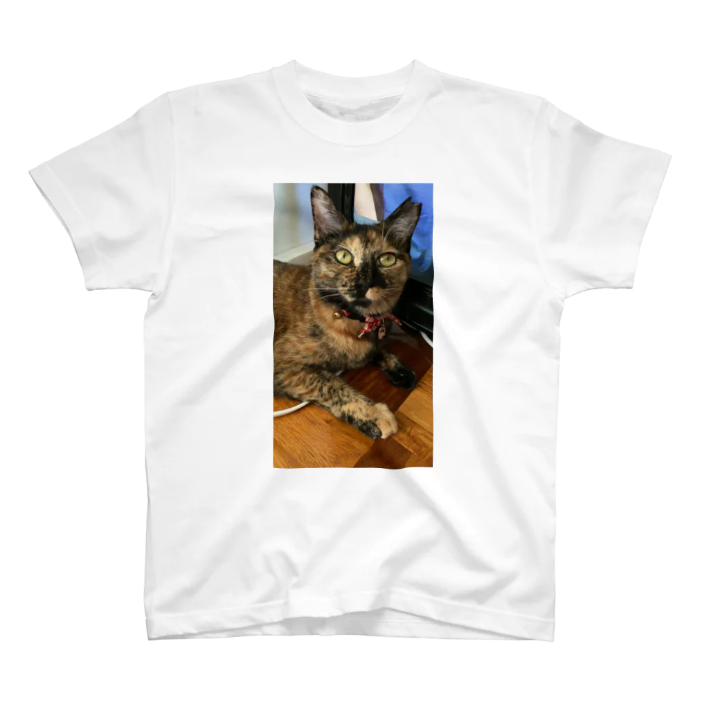 sayuri Nagashimaのサビ猫さびちゃん Regular Fit T-Shirt