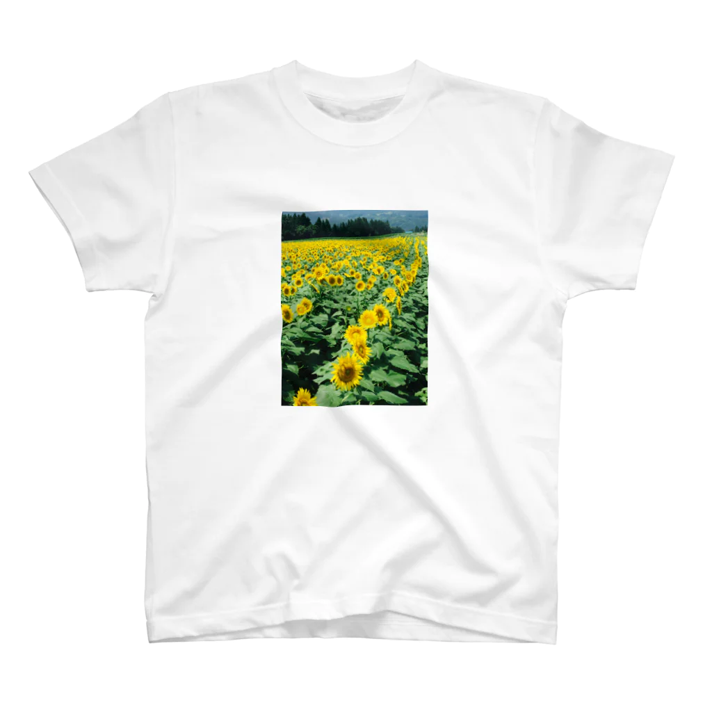 SIKIORIORIのsunflower スタンダードTシャツ