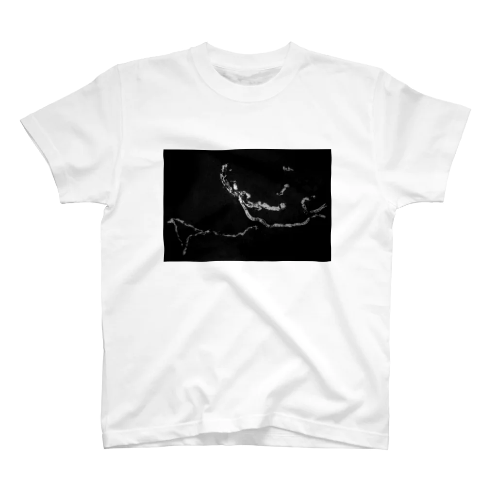 多摩美虫部2021年フリマのサカマキガイの足跡01 スタンダードTシャツ