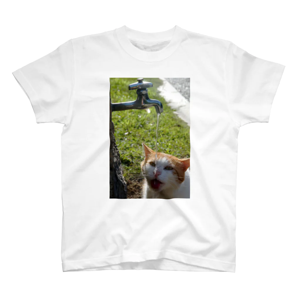 シッポ追いの猫写真店の命の水 スタンダードTシャツ