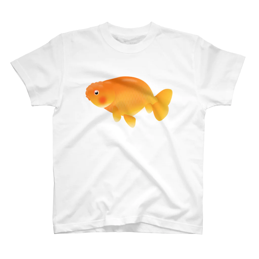 金魚のキンボの金魚 らんちゅう スタンダードTシャツ