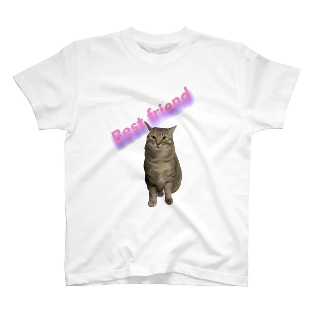 保護猫Dotcham City のBest Friend スタンダードTシャツ