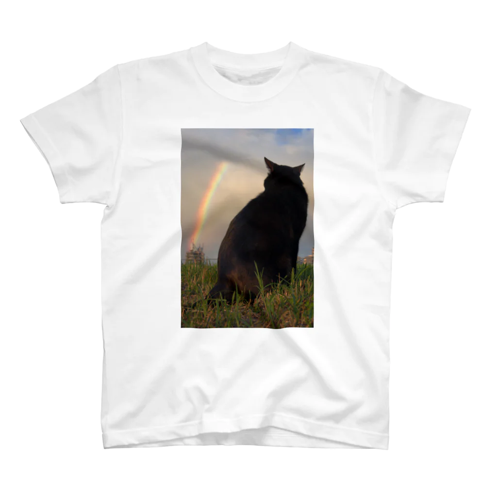 シッポ追いの猫写真店の虹の橋 スタンダードTシャツ