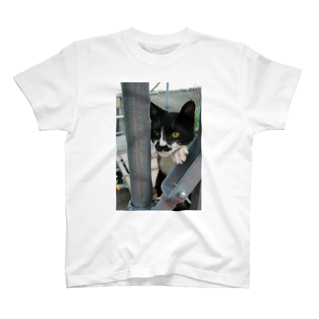 シッポ追いの猫写真店の張り込み スタンダードTシャツ