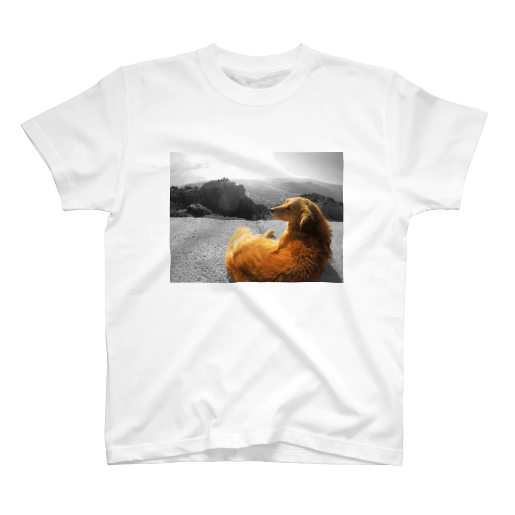 sparrow_wのメテオラとイヌ Regular Fit T-Shirt