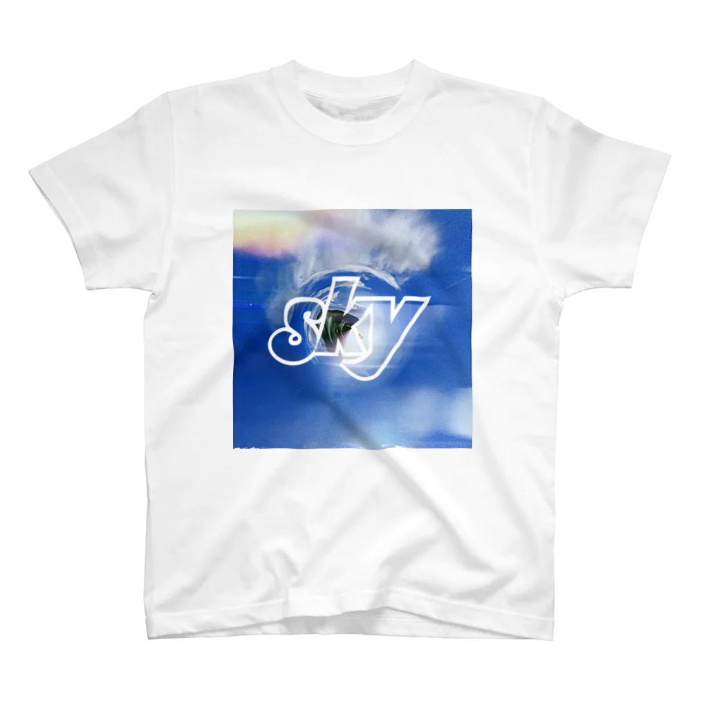 it_is_what_it_isのSKY Regular Fit T-Shirt