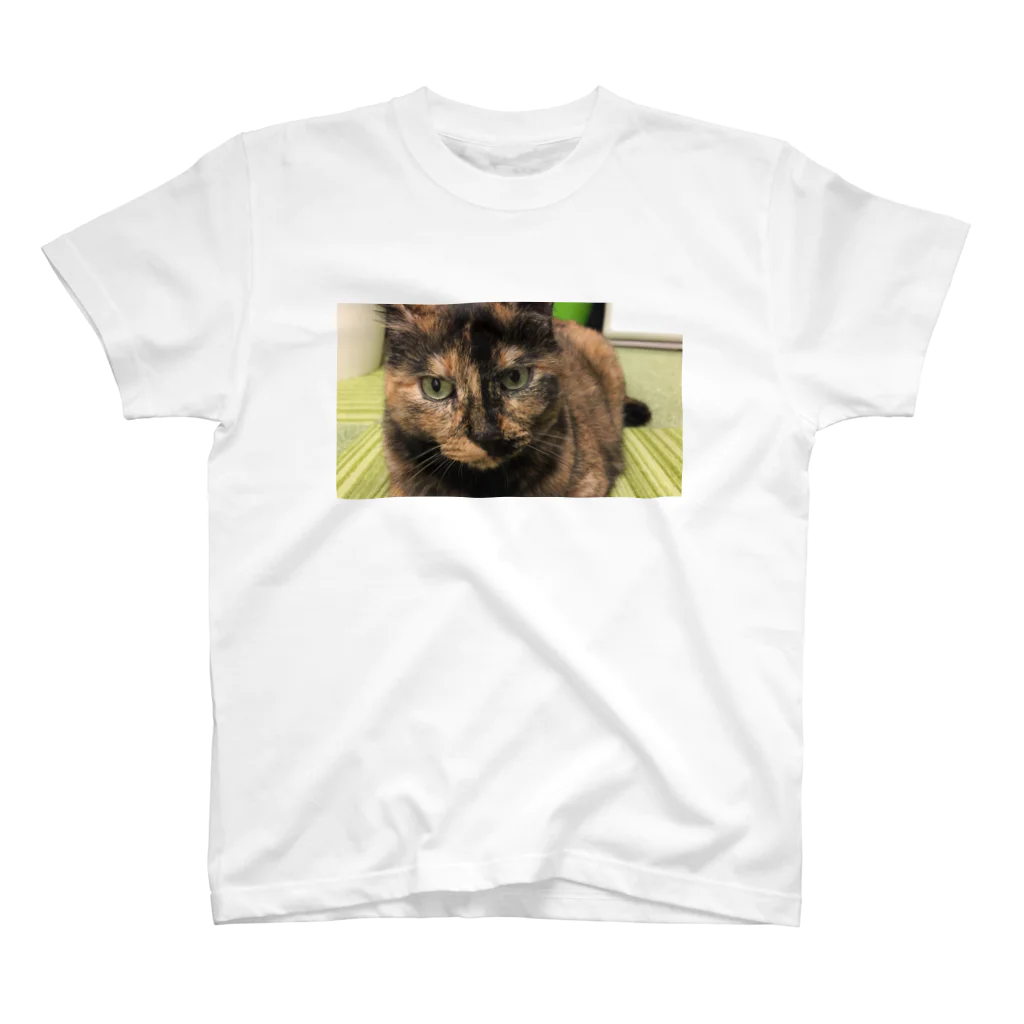 愛猫のグッズが欲しいのオレのミーナ スタンダードTシャツ