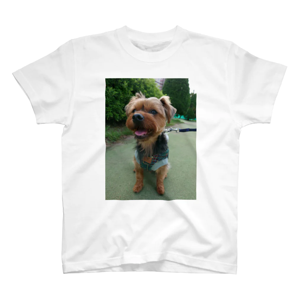 ミステリーキャラクターズのたれみみヨーキー犬 スタンダードTシャツ