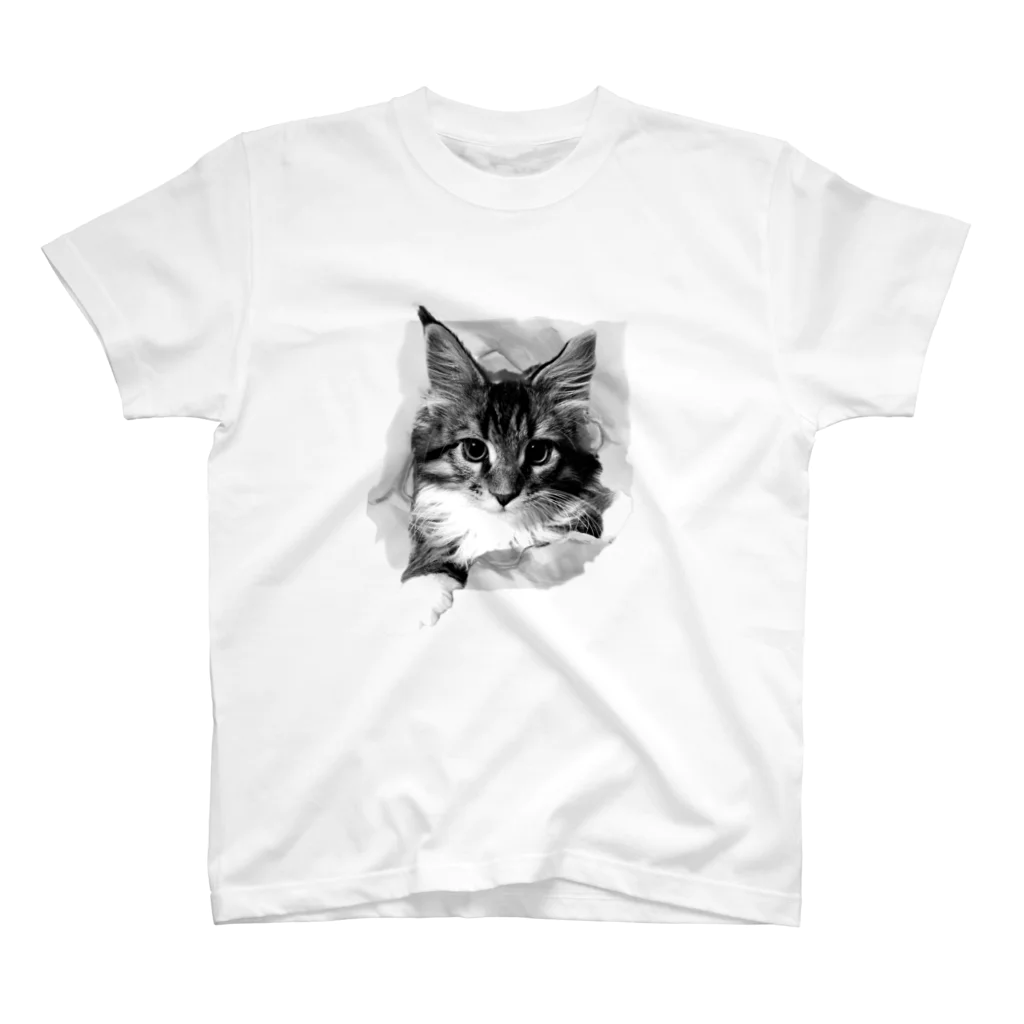 MioluckypinkyのBig 子猫　破いちゃった スタンダードTシャツ