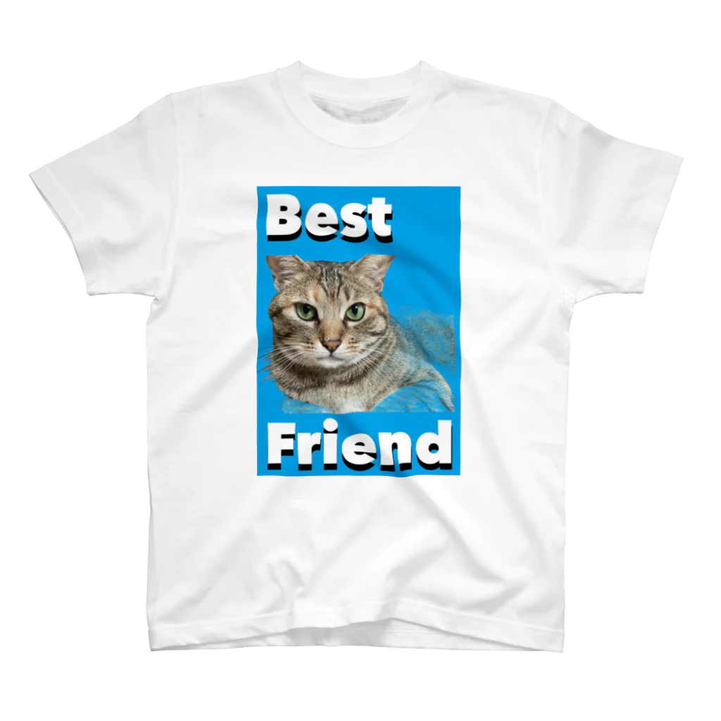 保護猫Dotcham City のBest Friend  スタンダードTシャツ